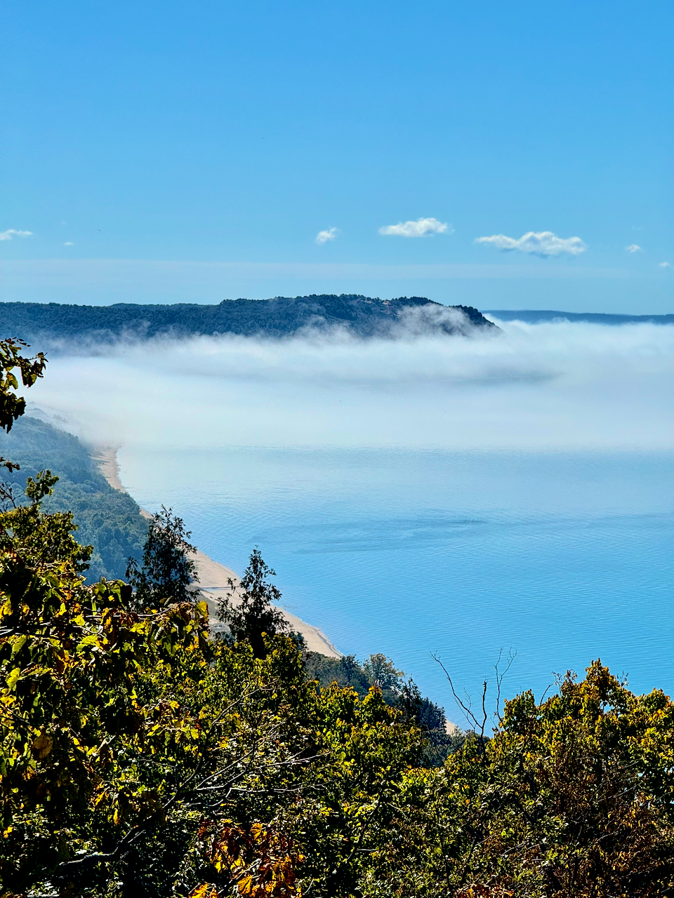 A bank of fog drifting along the Lake Michigan shoreline below a forested headland, seen from a dune overlook with early fall color in the foreground