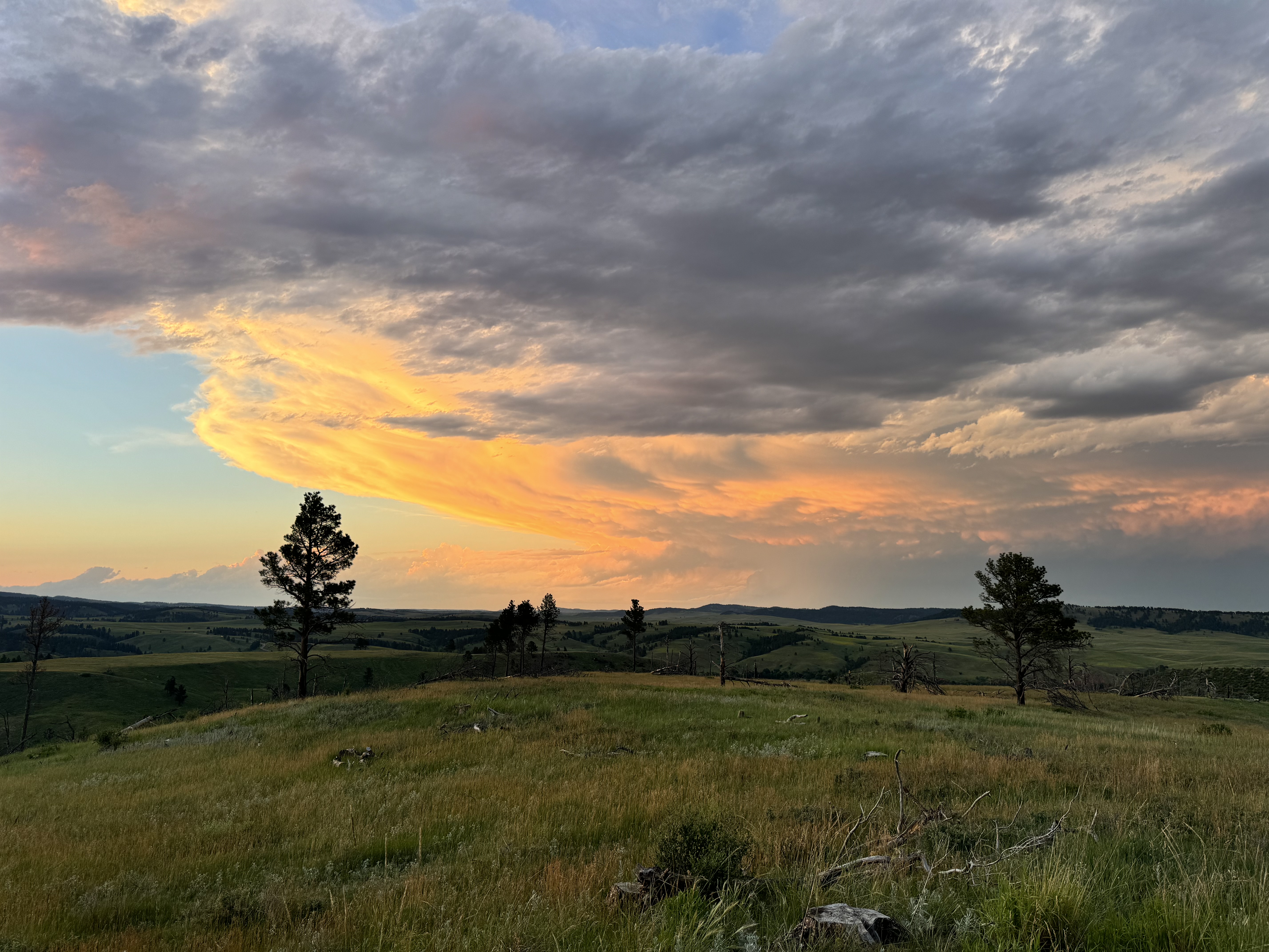 Favorite State Park